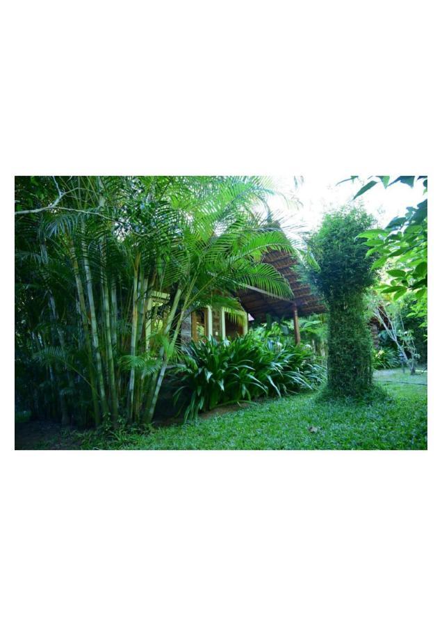 The Horse & Chariot Madikeri Exterior foto